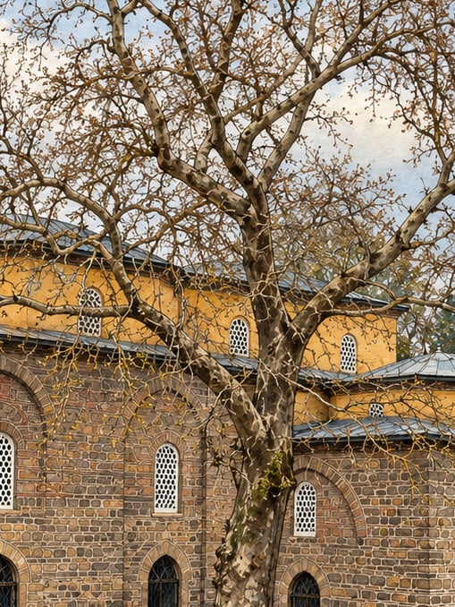 Bursa and Cumalıkızık: the Birth of the Ottoman Empire çizimi, Bursa