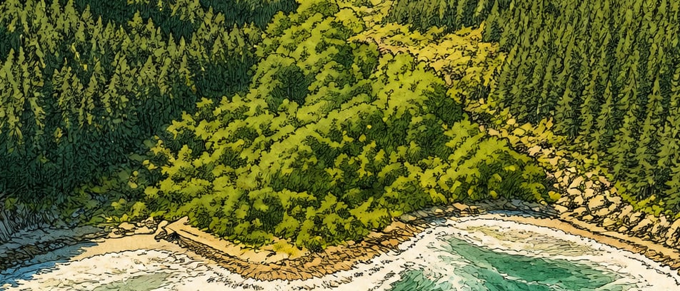 Dut Limanı Bay çizimi, Tekirdağ