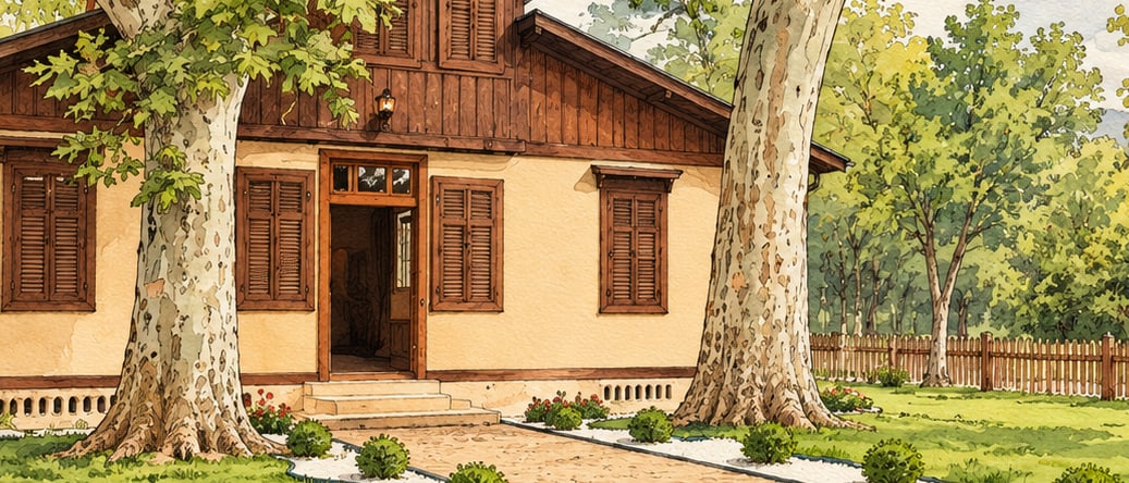 National Struggle and Lozan Museum çizimi, Edirne